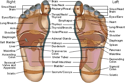 Typical indicators of feet